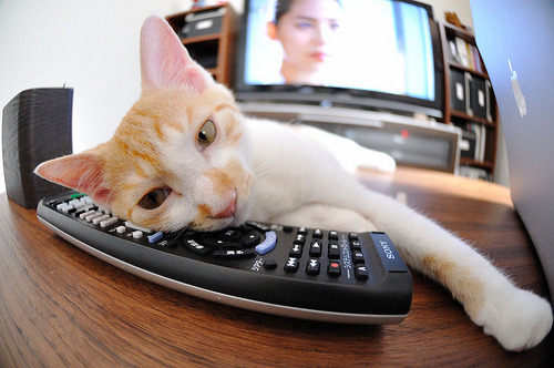 东南亚拳王赛开打,中国选手上演绝地反击,东南亚拳头官网